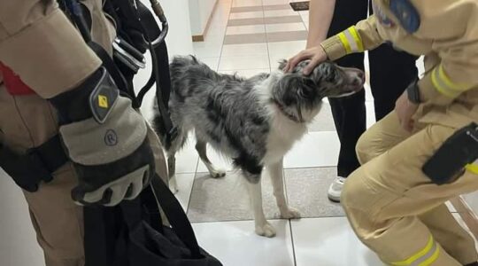 Bombeiros2