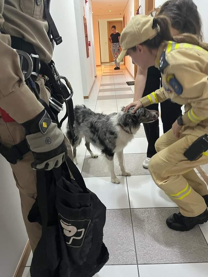 Bombeiros2