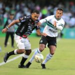 Coxa8