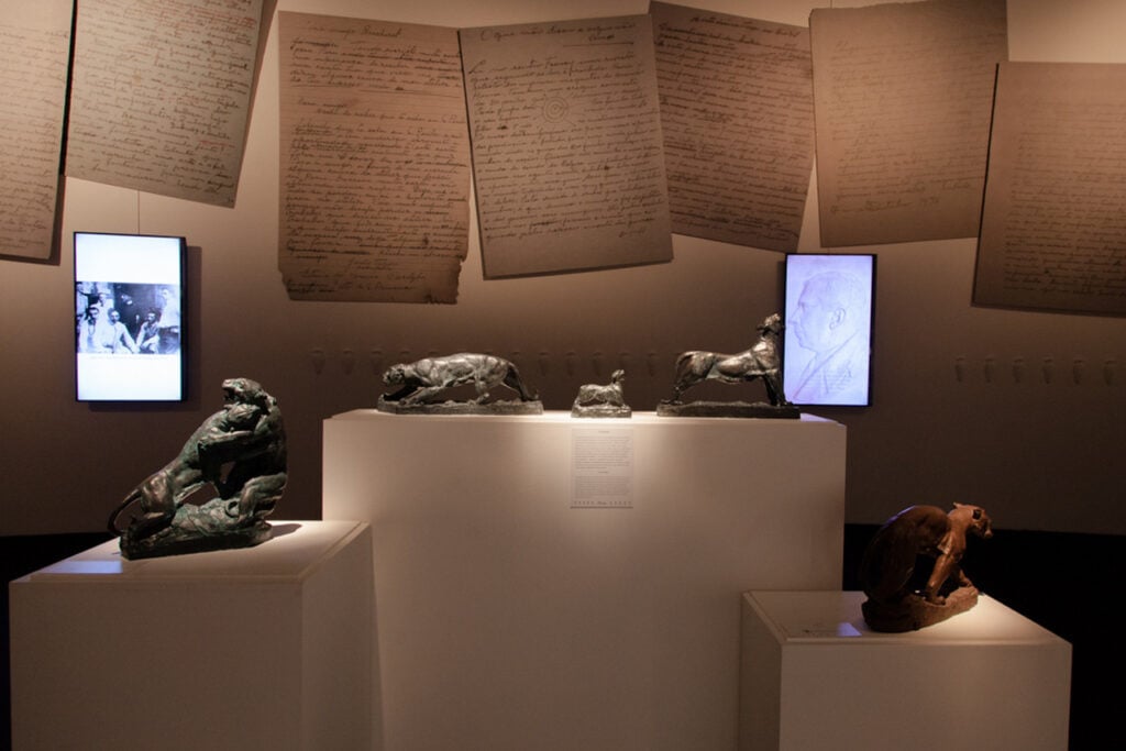 João Turin – exposição no MON 2014 – foto Maringas Maciel-0532
