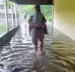 alagamento matinhod