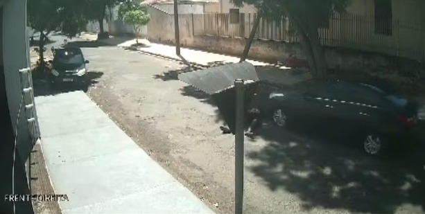 atropelamento
