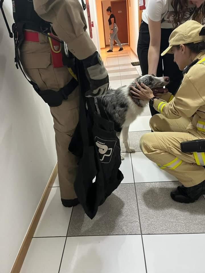 bombeiros1