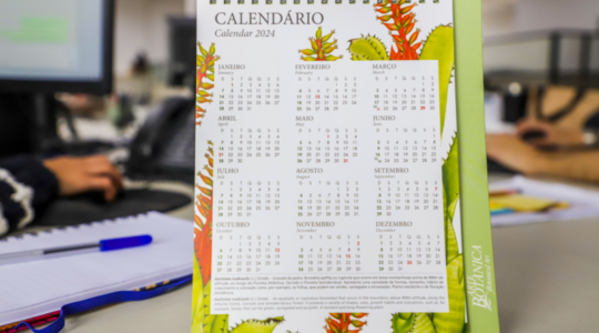 calendario feriados curitiba