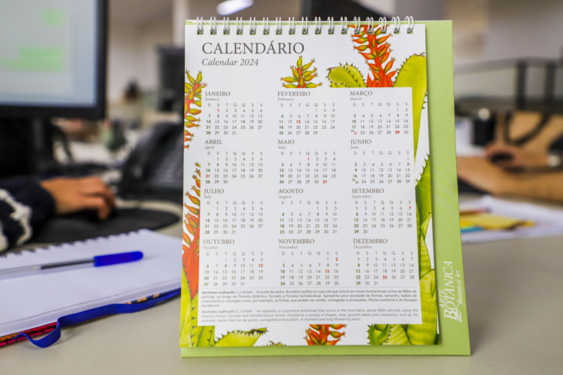 calendario feriados curitiba