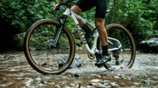 caloi bike