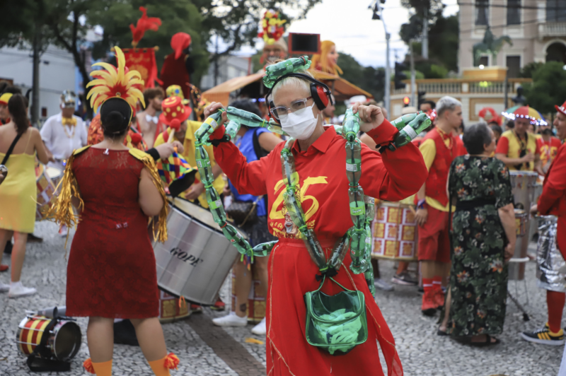 carnaval cuidadores idosos