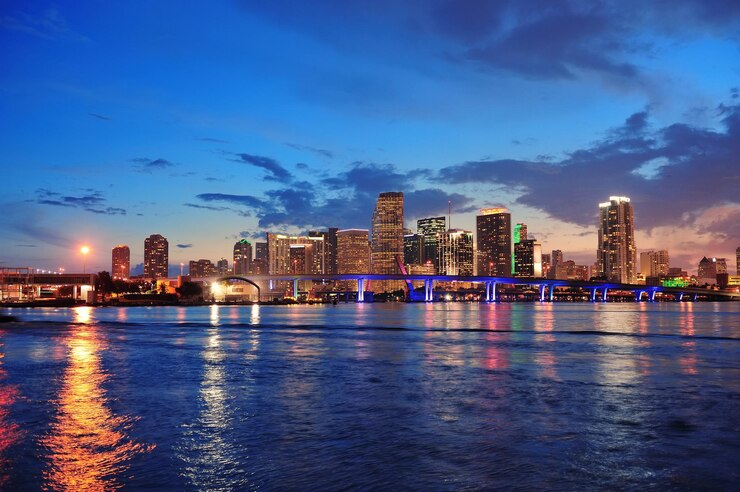 cena-noturna-de-miami_649448-3825