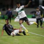 coxa14