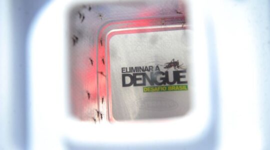 dengue