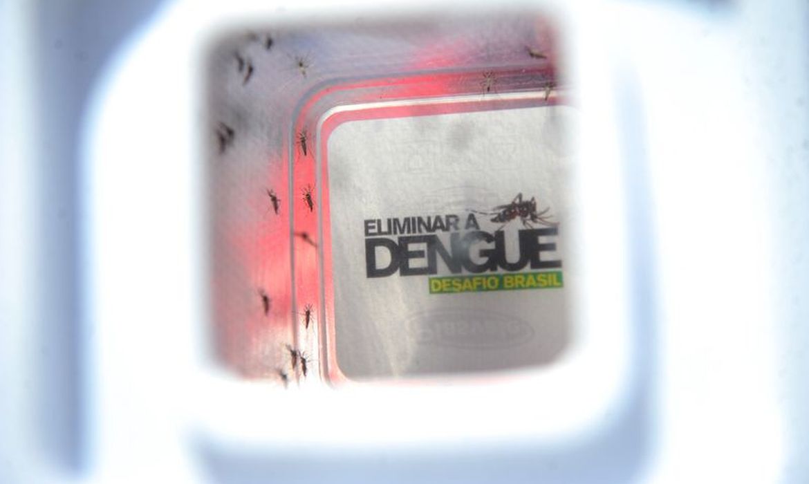 dengue