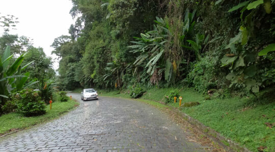 estrada_da_graciosa_-_acervo_der_05_0