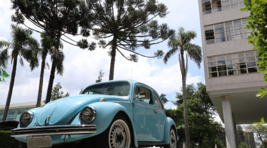 fusca