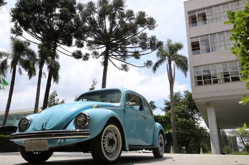 fusca