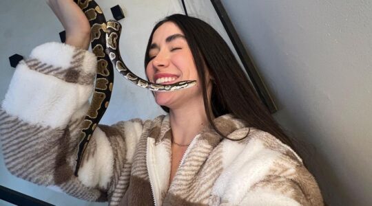 influencer e cobra