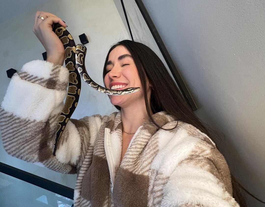 influencer e cobra