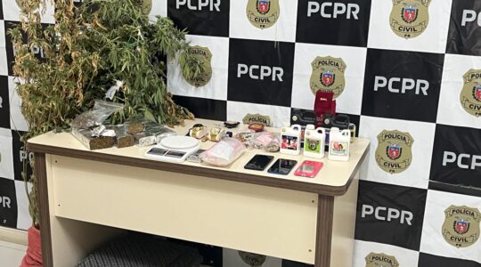 maconha