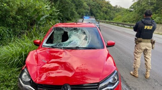 prf atropelamento perseguicao