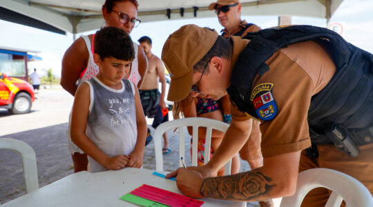pulseirinhasbombeiros-01