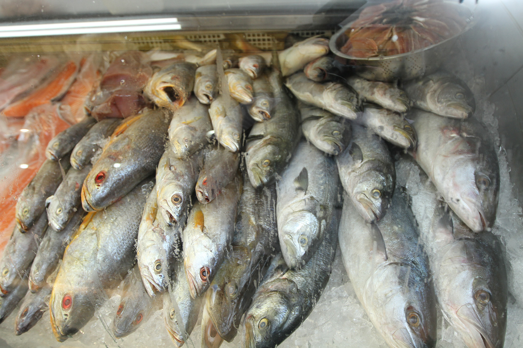 O pico nas vendas de pescados se dá na Semana Santa (Franklin de Freitas)