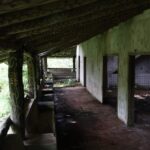 Cassino8
