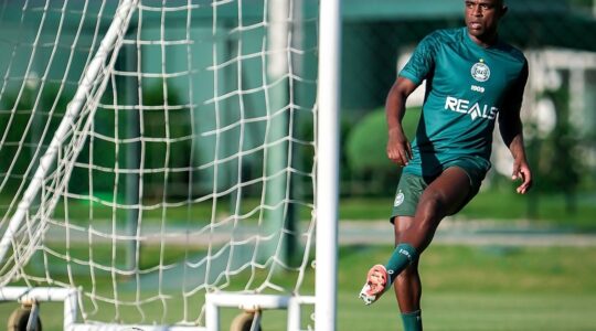 Marcelo Benevenuto no Coritiba