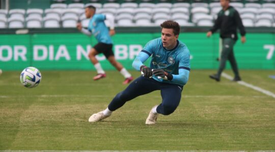 Luan Polli