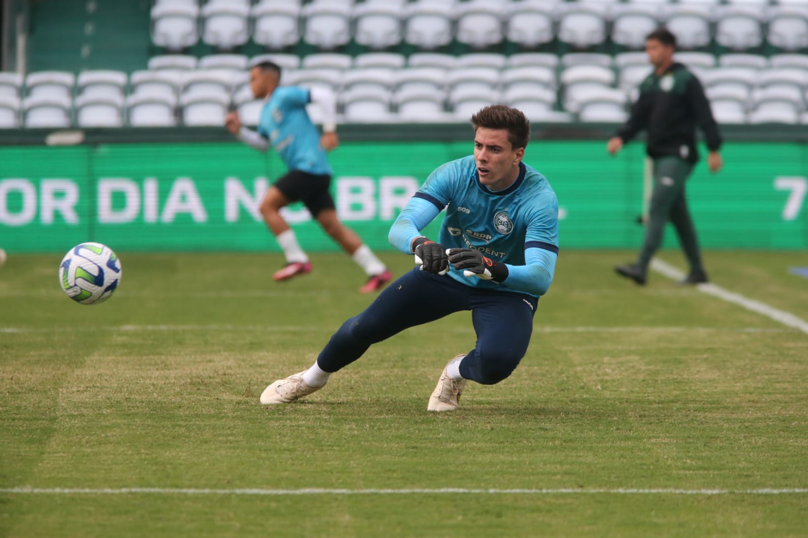Luan Polli
