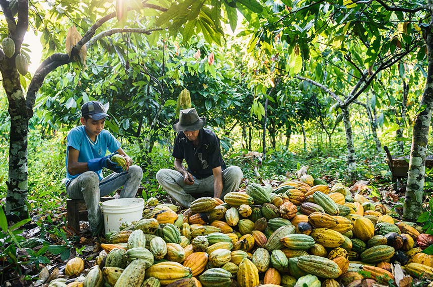 agricultura