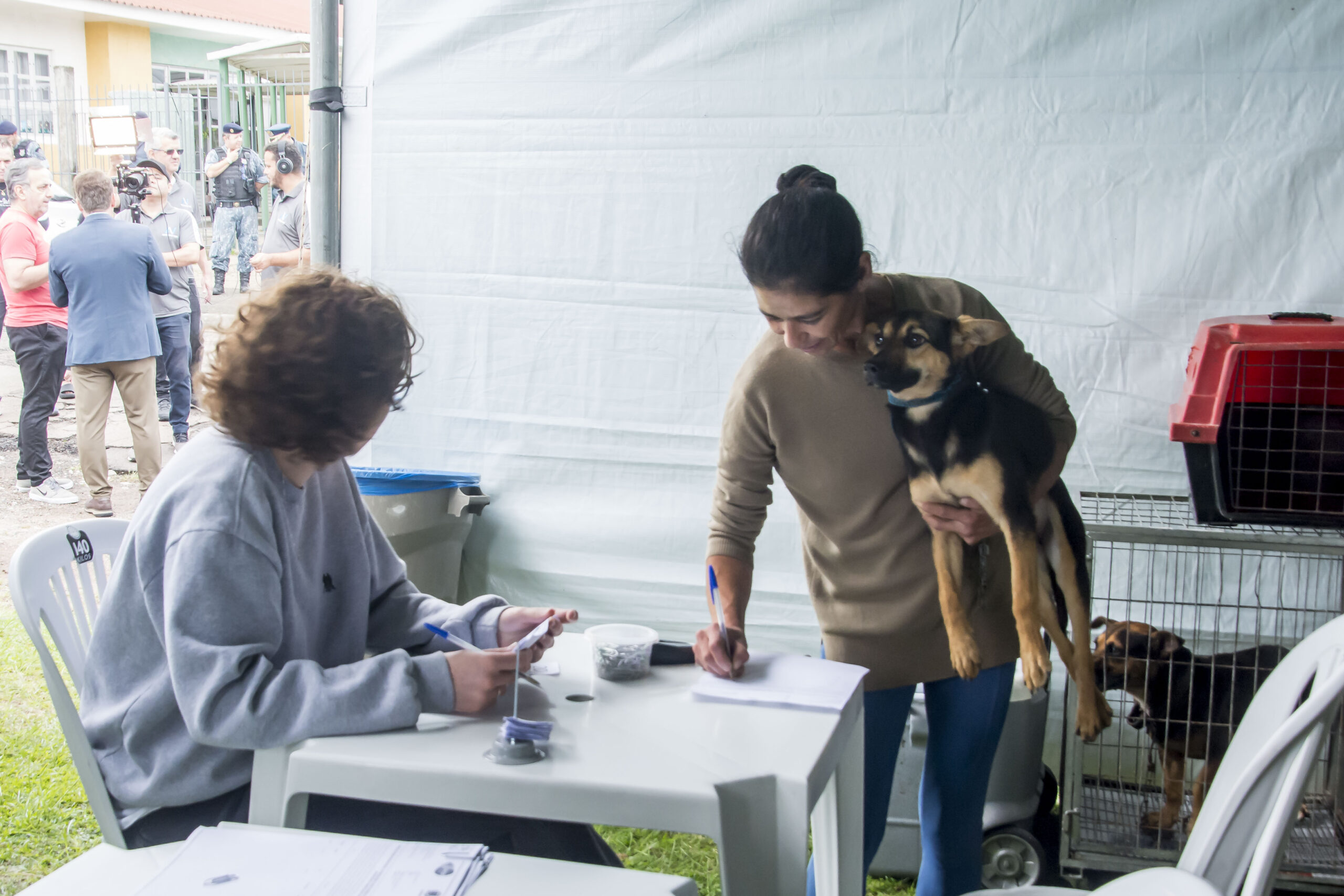 castração de animais curitiba