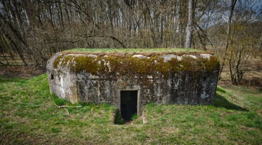 concrete-bunker-from-world-war-ii-sekule-slovaki-2023-11-27-04-54-26-utc