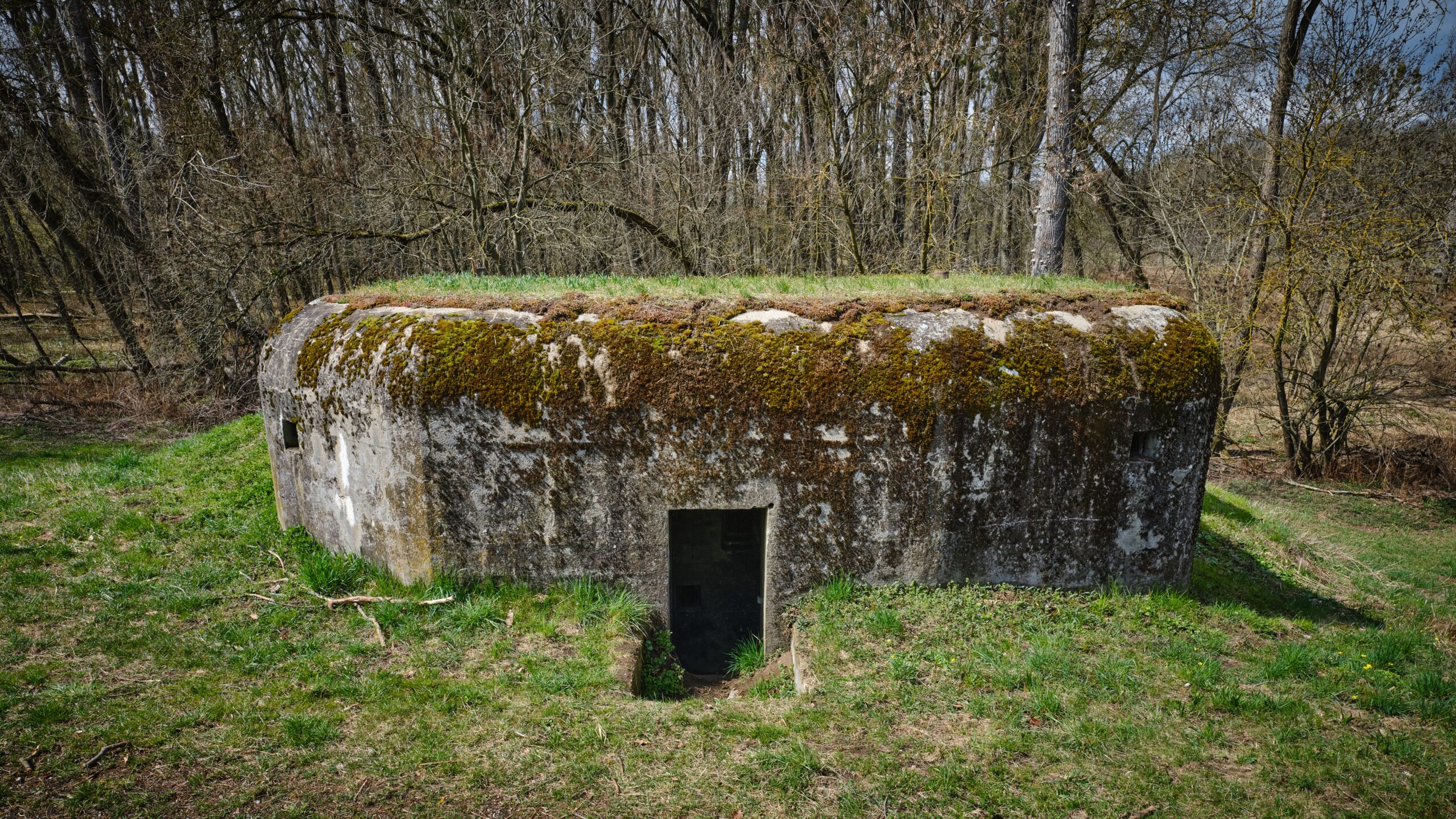 concrete-bunker-from-world-war-ii-sekule-slovaki-2023-11-27-04-54-26-utc