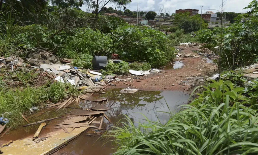 dengue brasilia