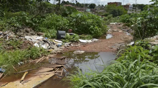 dengue brasilia