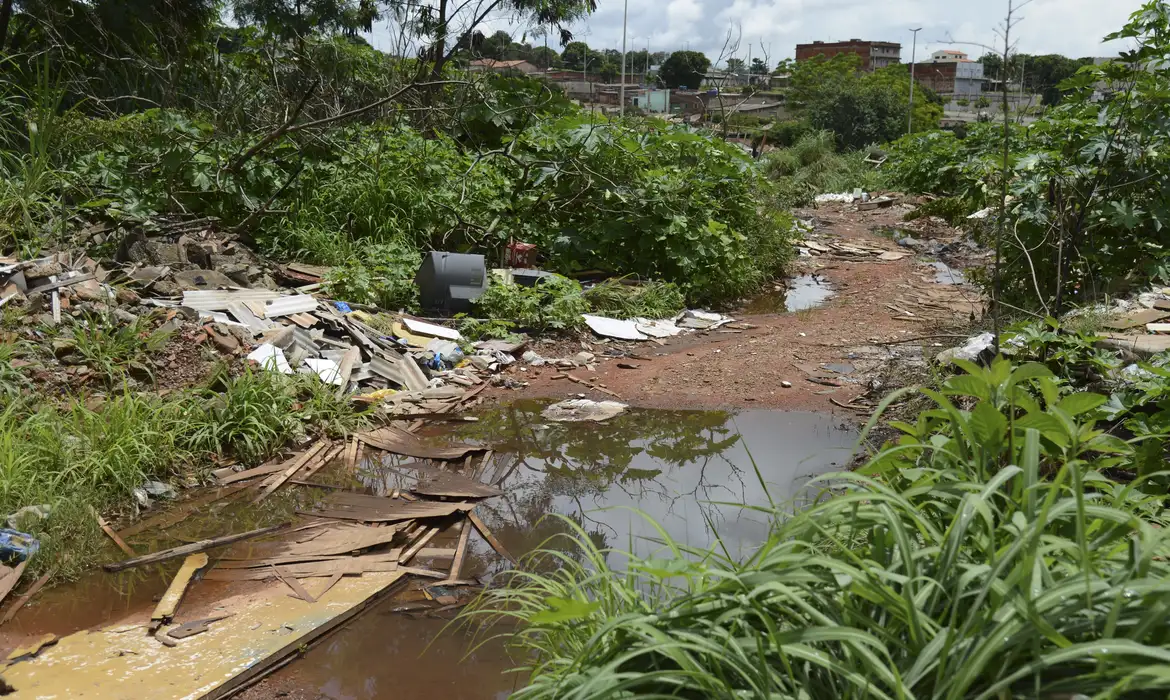 dengue brasilia