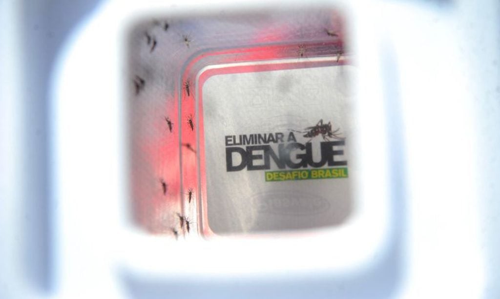 dengue emergencia