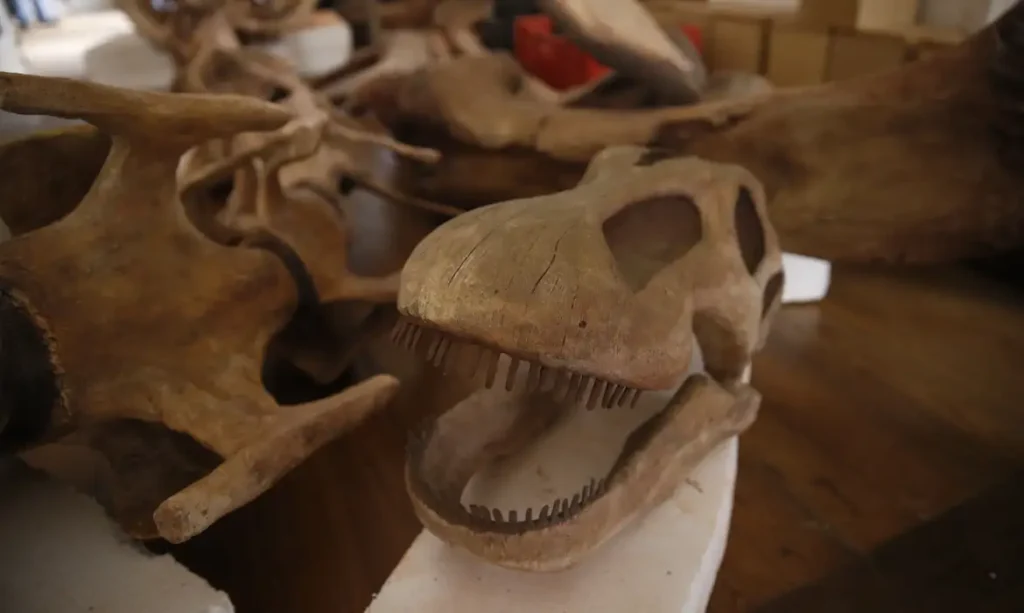 dinos