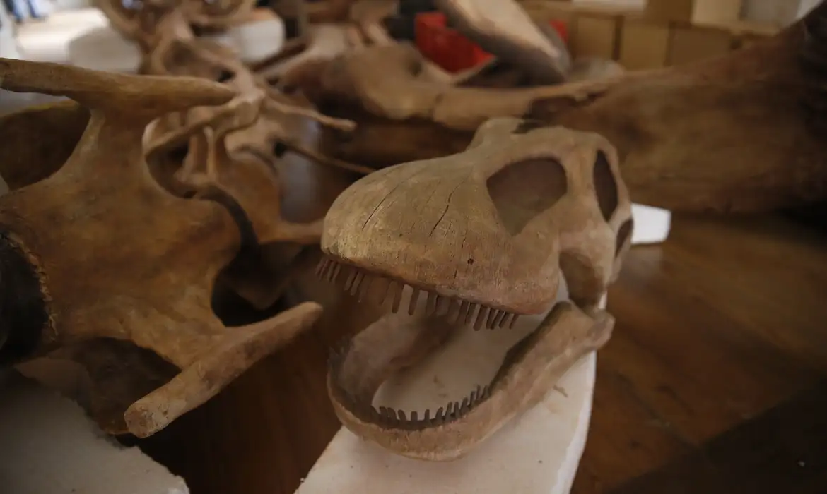 dinos