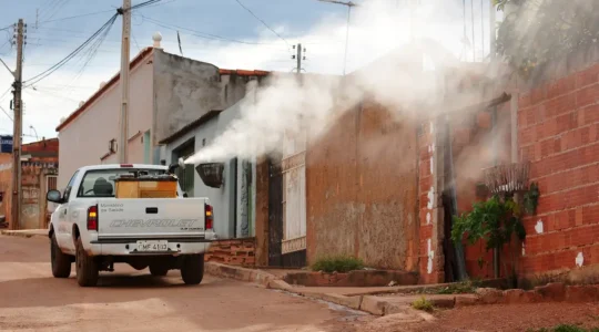 fumace contra a dengue