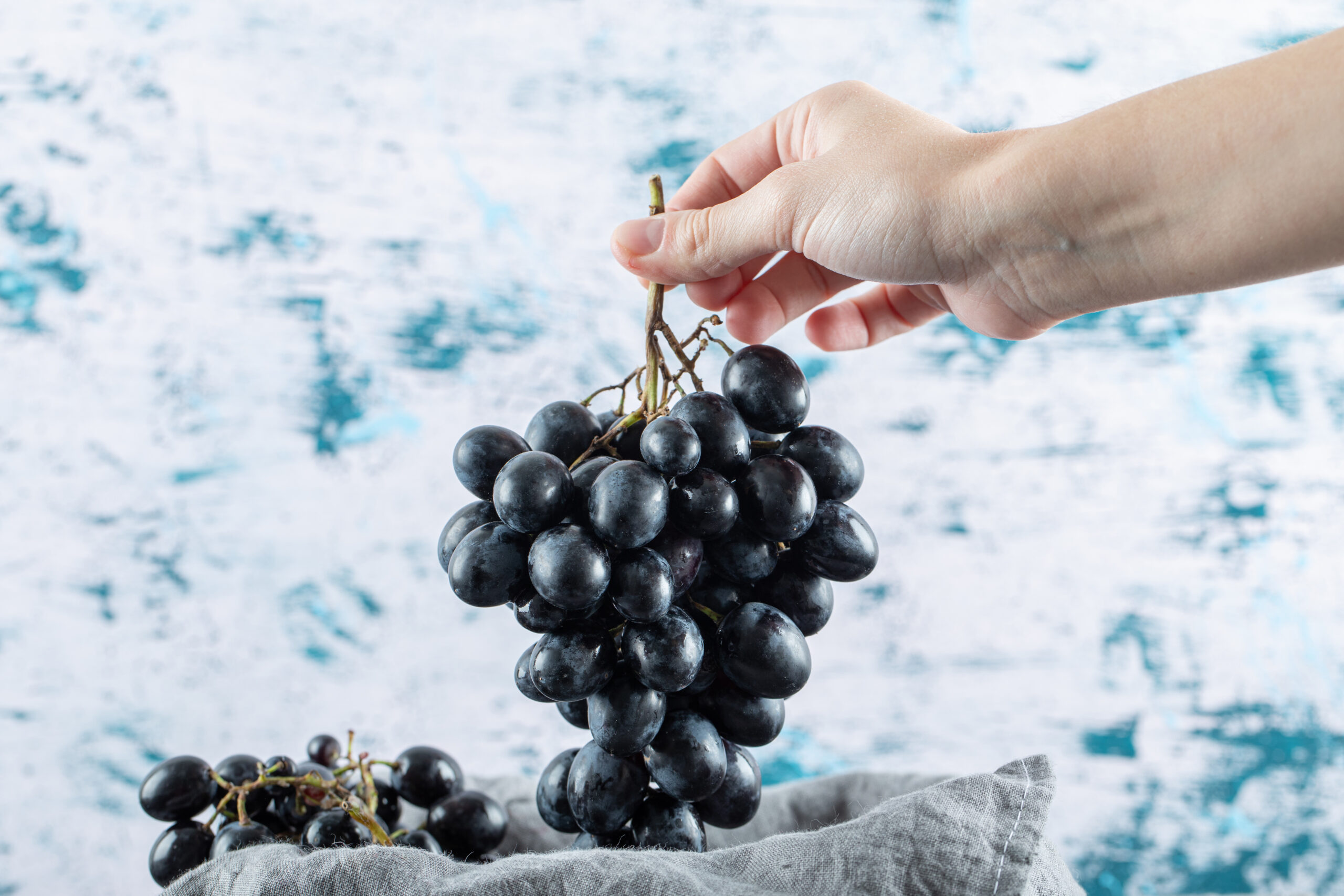 Hand holding a bunch of dark fresh grape on a colorful background
