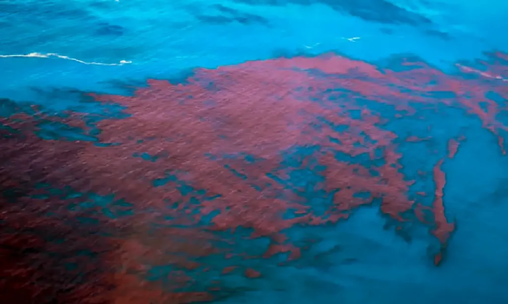 mare vermelha