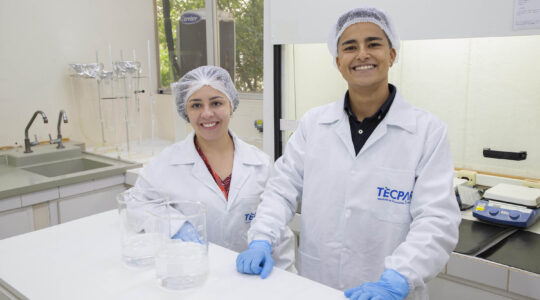 o_guia_de_microscopia_de_identificacao_de_materia_estranhas_em_alimentos_foi_elaborado_pelas_biologas_aline_de_carvalho_e_andressa_mendes_1