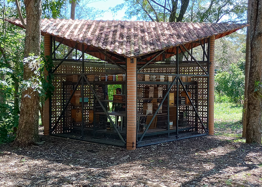 240312_RefúgioAbelhas_Guilherme_Schühli_meliponário