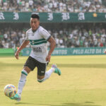 Coxa8