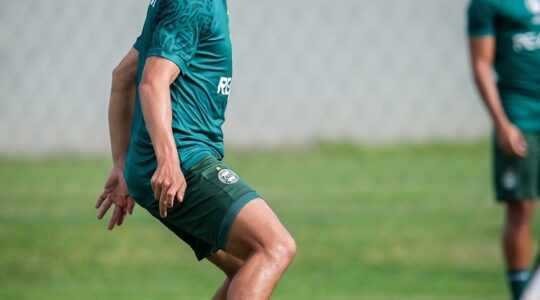 Leandro Damião