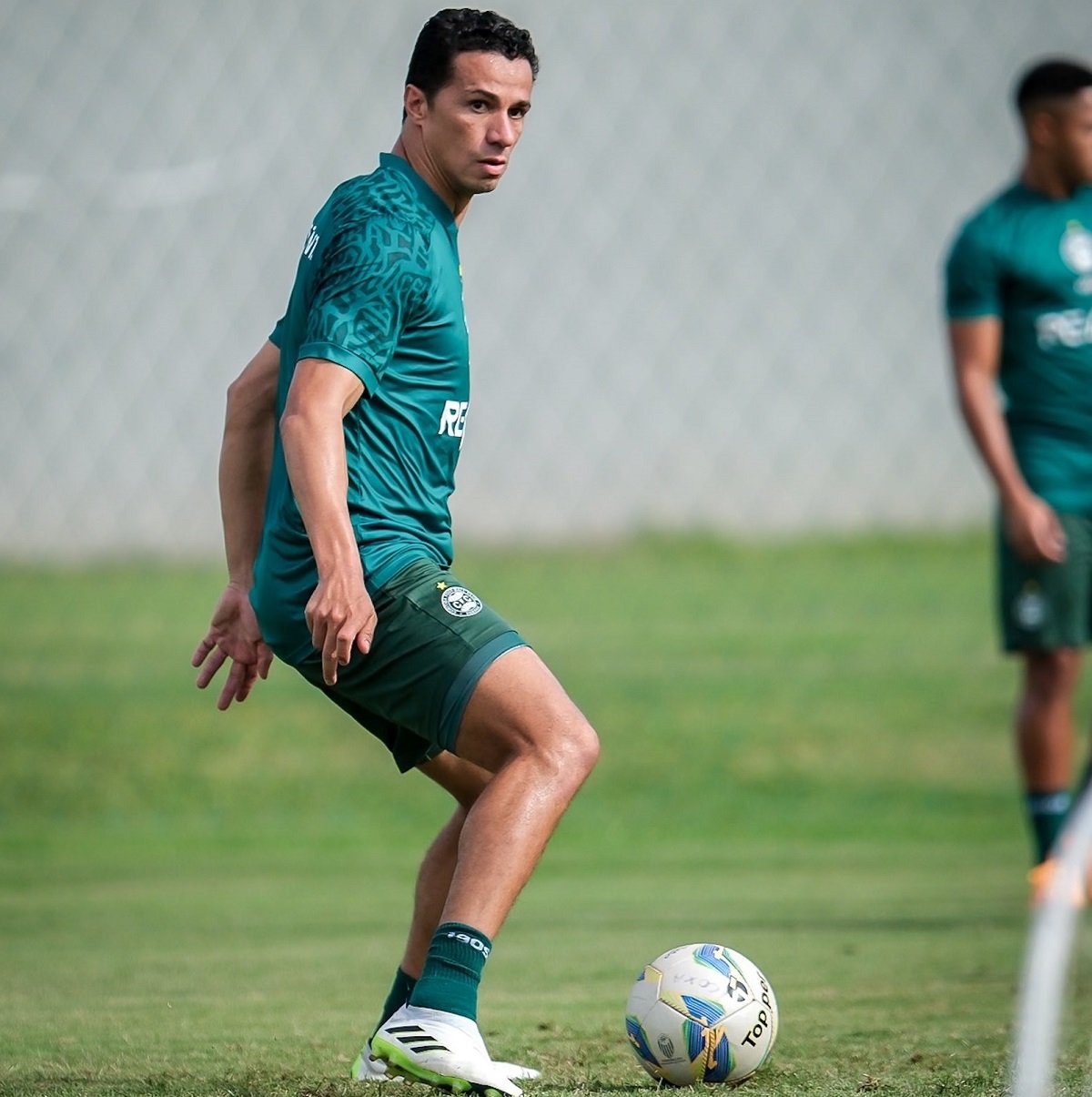 Leandro Damião