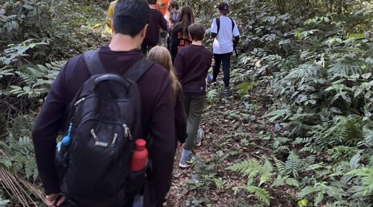 jornada de estudos mata atlantica