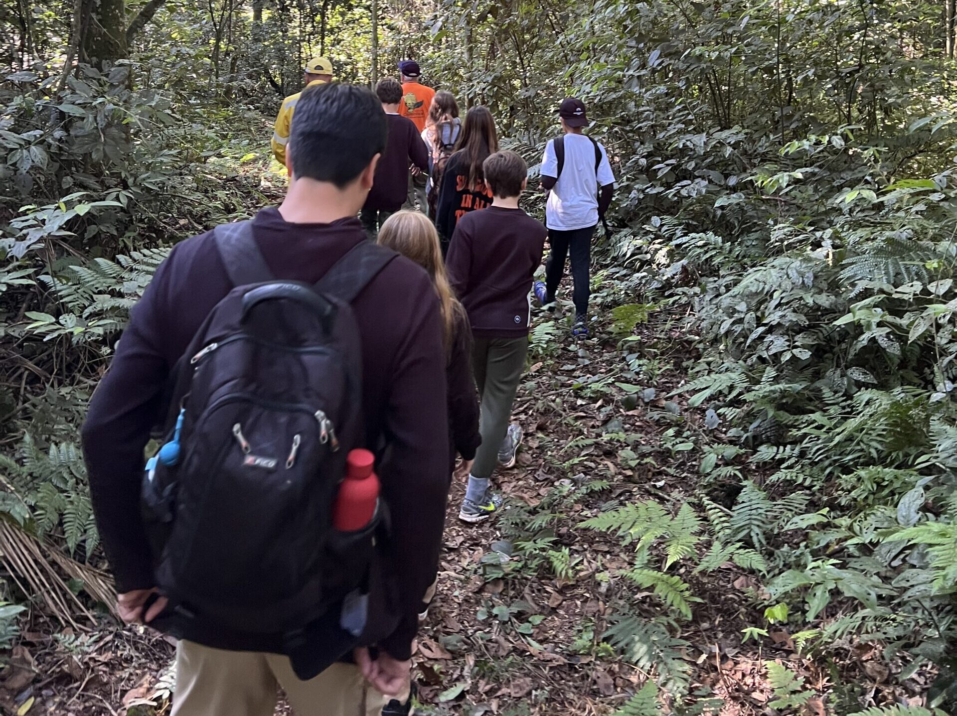 jornada de estudos mata atlantica