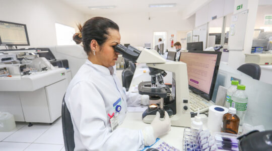 lanac dengue covid