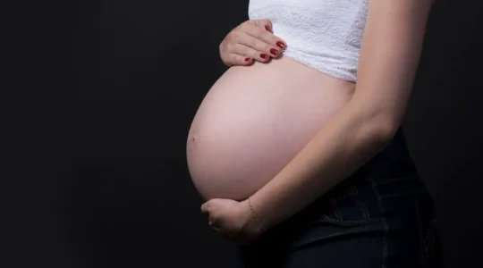 licenca maternidade